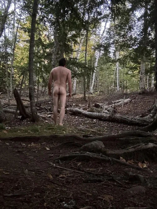 Off on a nude hike in the woods by Silly_Entertainer328