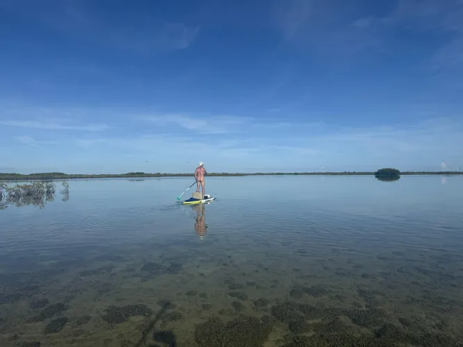 Off topic a bit...Las Vegas by Remarkable-Net-4728