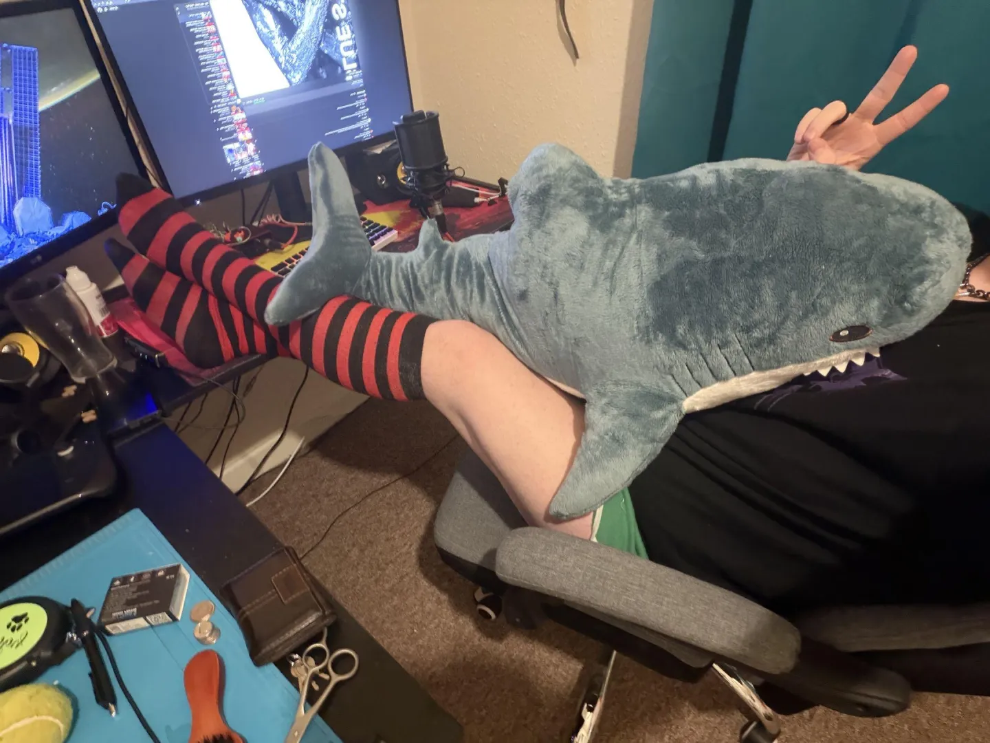 Oh hi, wanna take Blahaj place in my lap? posted by NeonGreenHusky