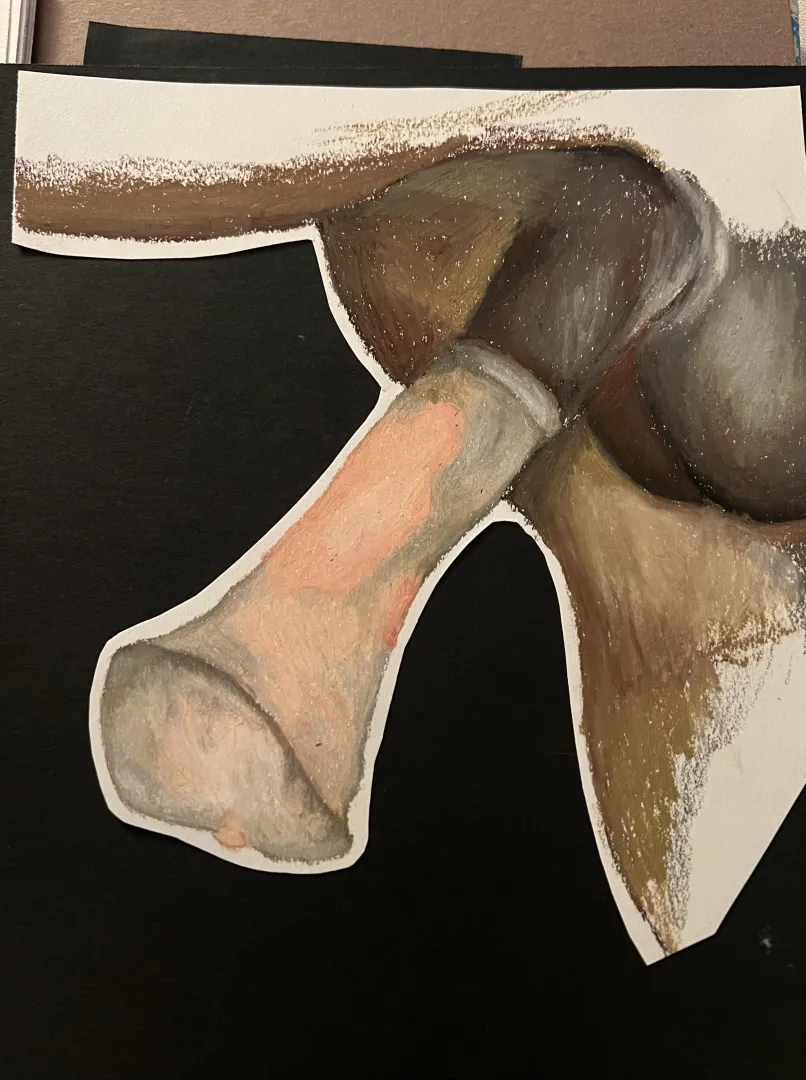 Oil pastel study (OC) posted by offleash__animal