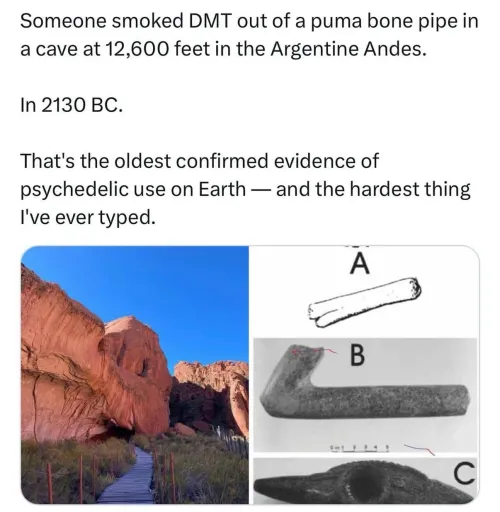 Oldest known use of psychedelics by ColbyRC01