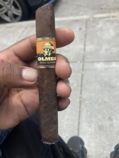 Olmec Maduro by Quiet_Cry6133