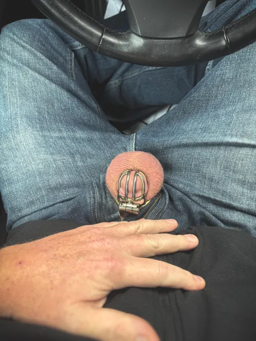 On my lunch break sending my wife a quick cage check. by littleexhib