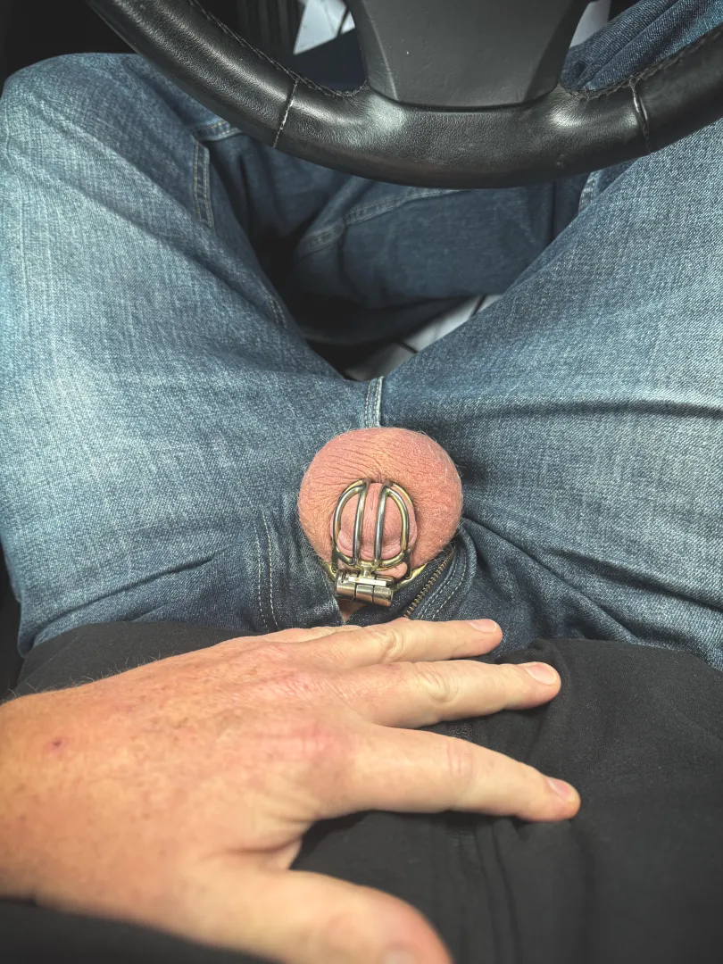 On my lunch break sending my wife a quick cage check. posted by littleexhib