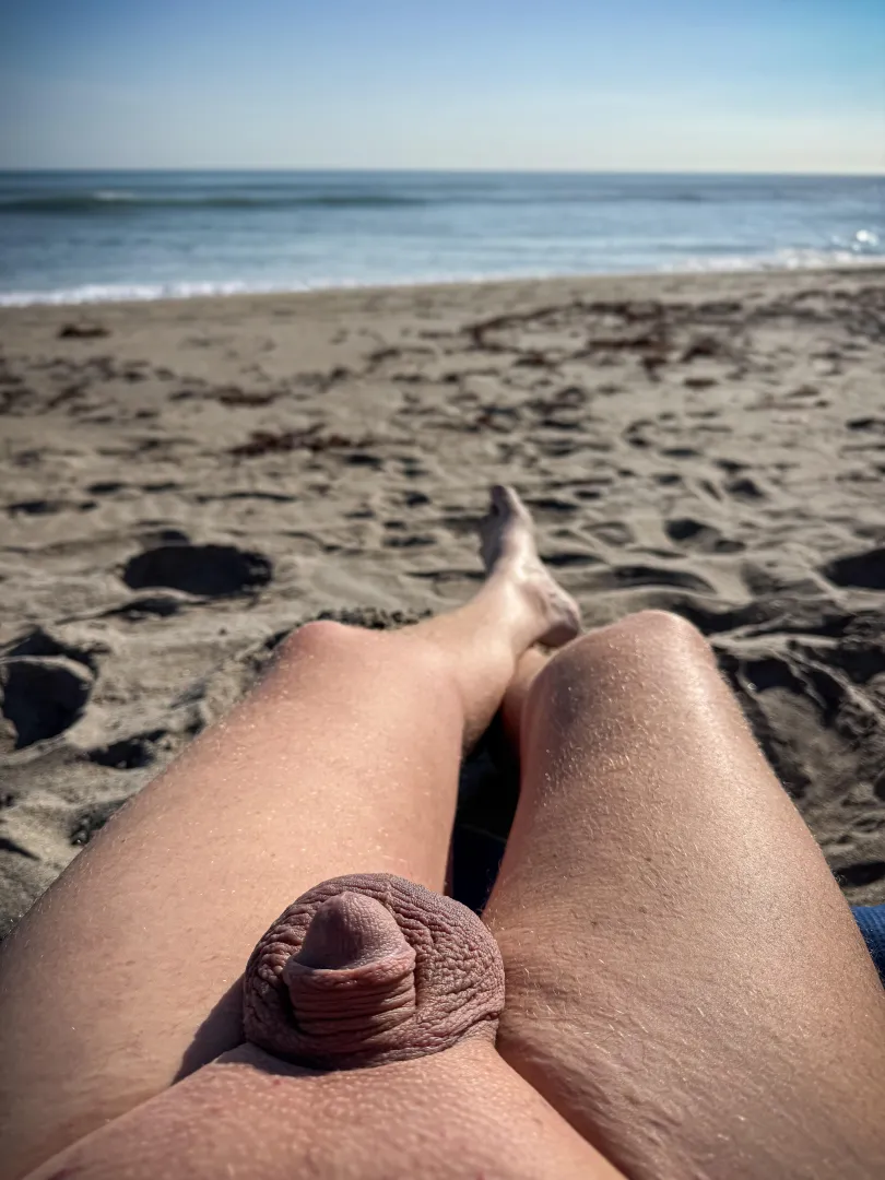 On the beach and enjoying the sun for the world to see! posted by littleexhib