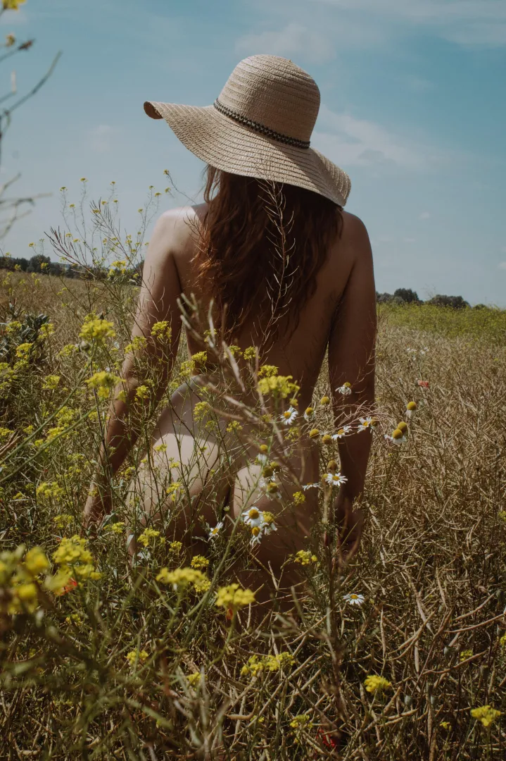 On the summer fields posted by Wanderersovl