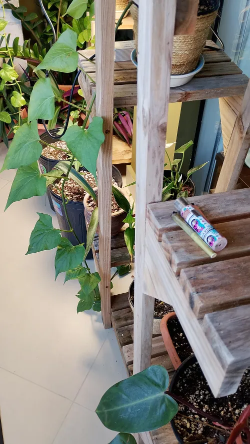 Onde vocês deixam o seu baseado? by Rogi098