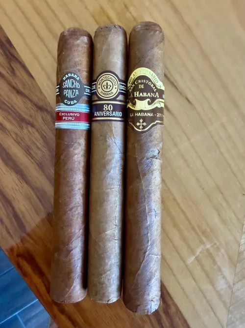 One must die tonight by Interrogare-Omnia-