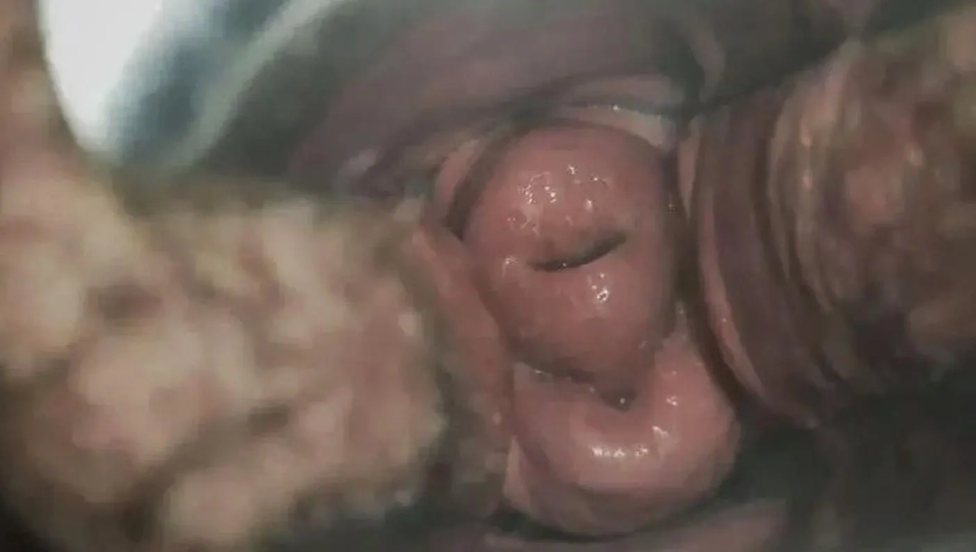 One of my fav pics of myself [FTM] posted by Desperate_Sundae5724