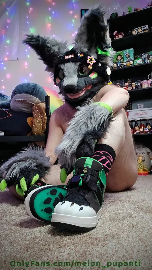 One of my favorite Melon pics by Misfits1011