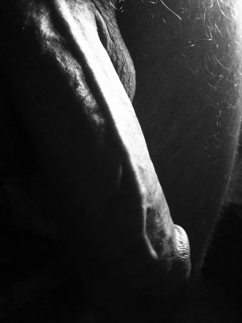 One self posted by Zestyclose_Prize_165