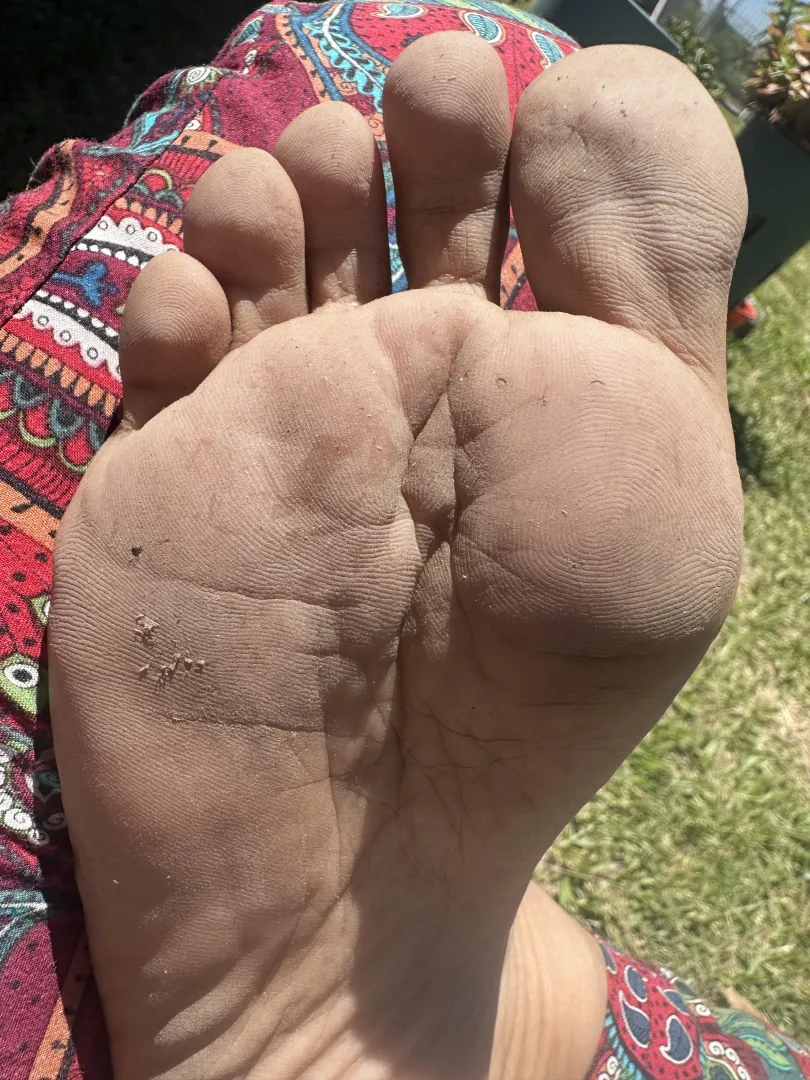 onion flavor order  posted by PlantLover_72