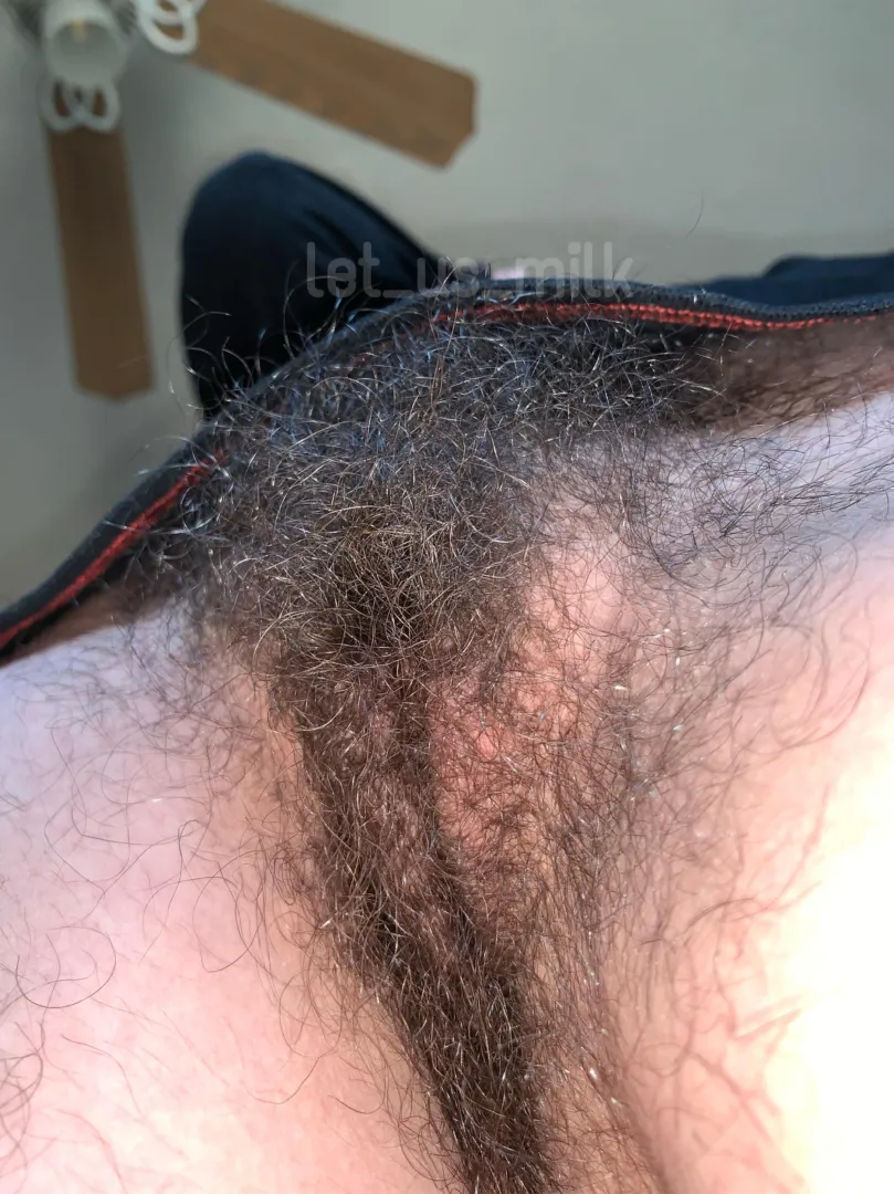 Only serious hairy pussy lovers can take this much hair posted by let_us_milk