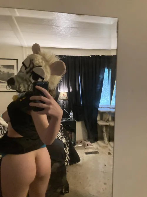 Opossum ass by No_Koala1007