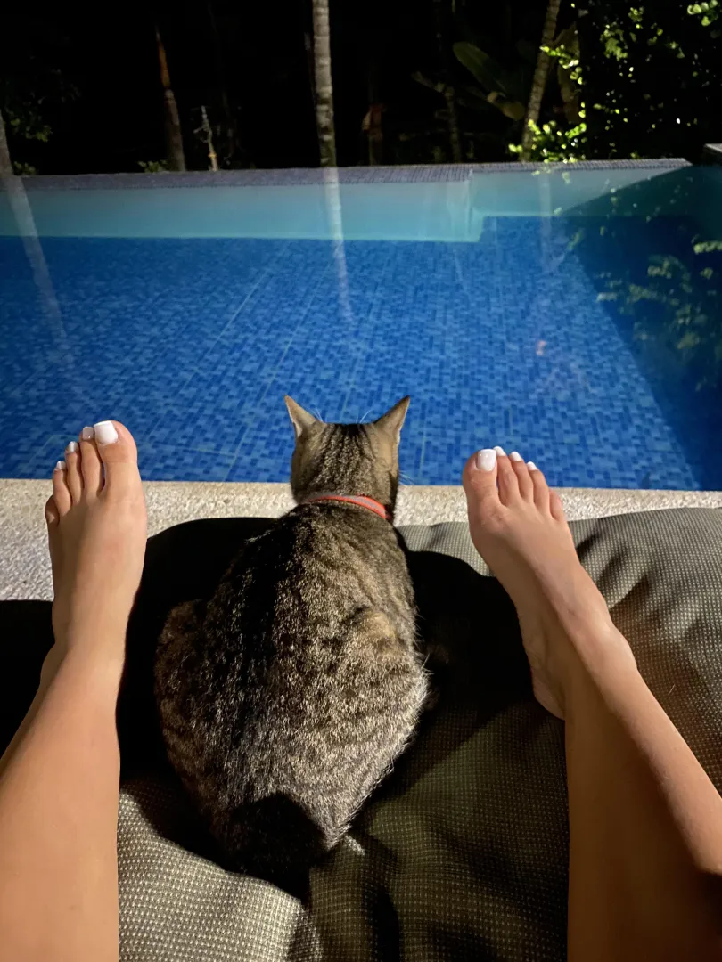  or  posted by Feetcuty