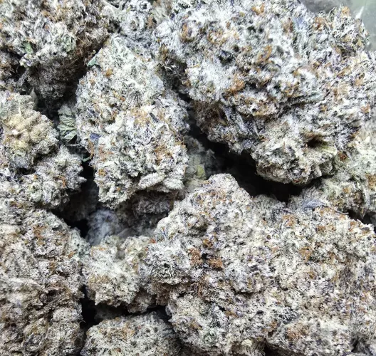 Oreo Blizzard by RayZZZoR