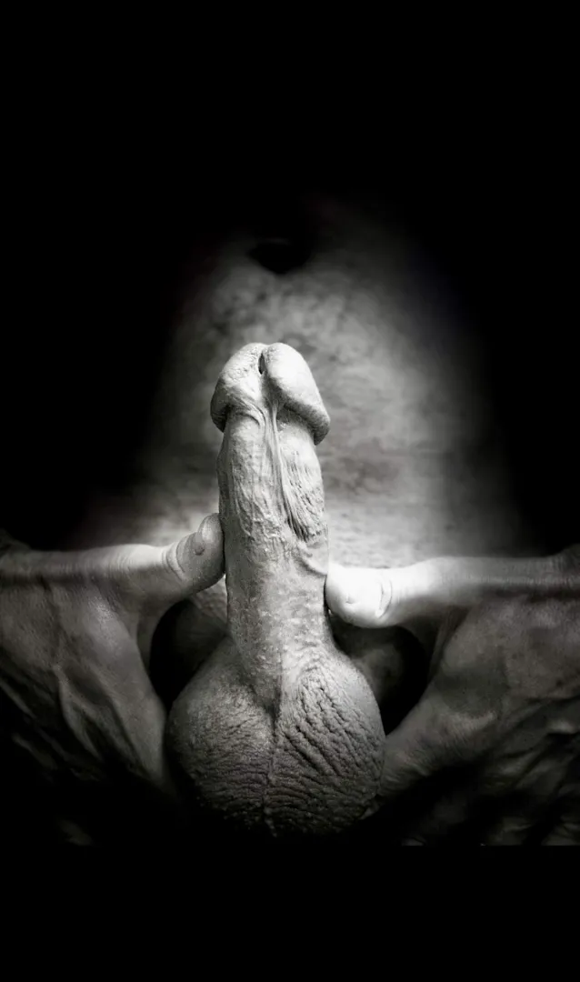 Out of the shadows and into the light.. posted by Early-Kangaroo-6599