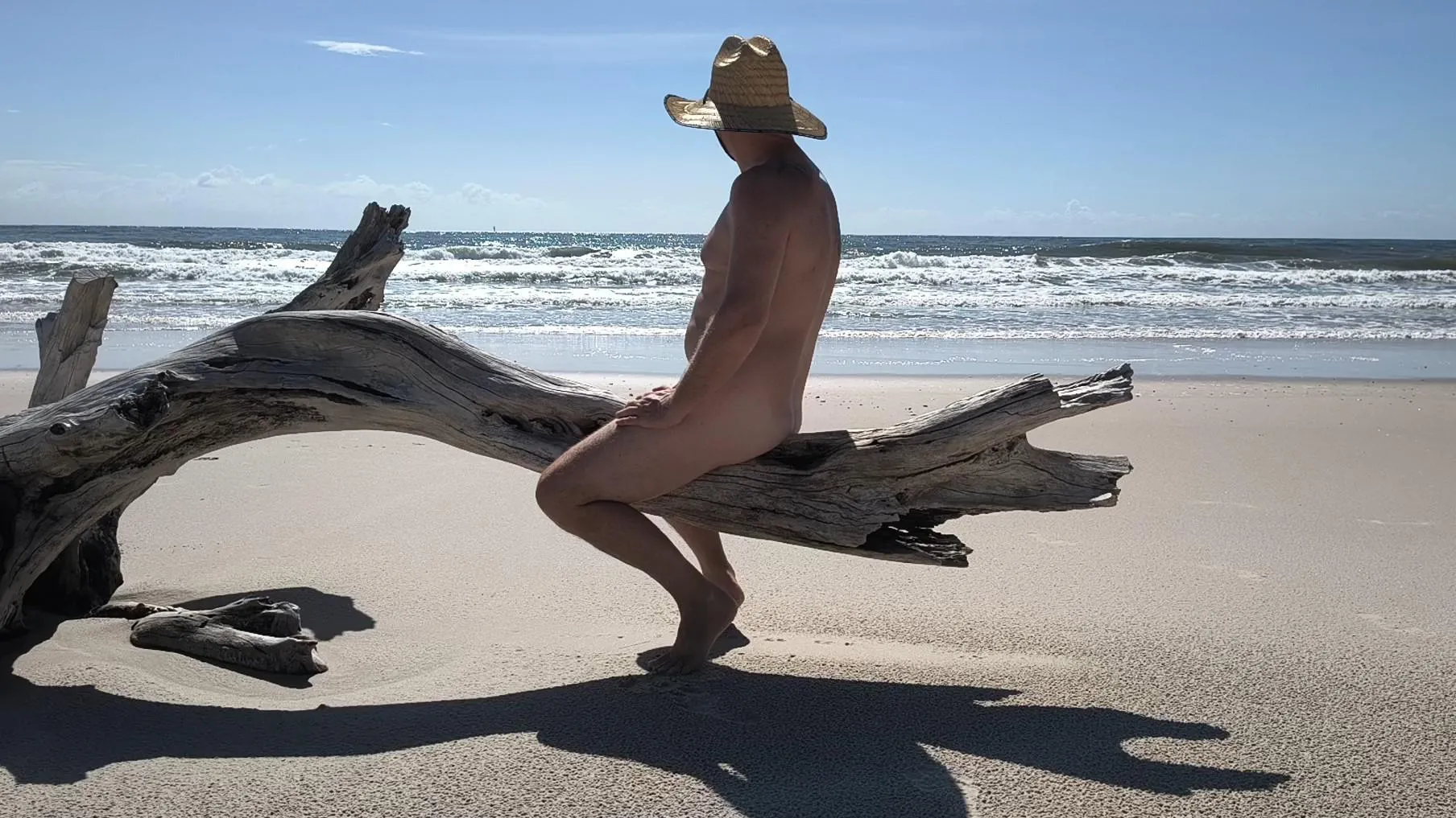 Out on a Limb! posted by Much-Opportunity-165