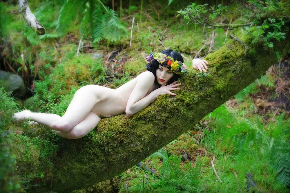 Pale nymph waiting for spring posted by toasterpedia