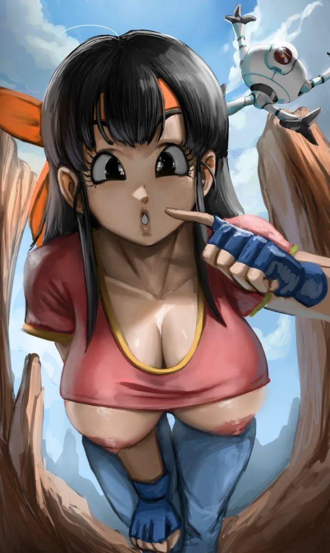 Pan clothes doesn't fit her slutty boobs (elitenappa) posted by Full-Tumbleweed7356