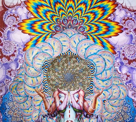 Panoptic by Confusion_is_Sex