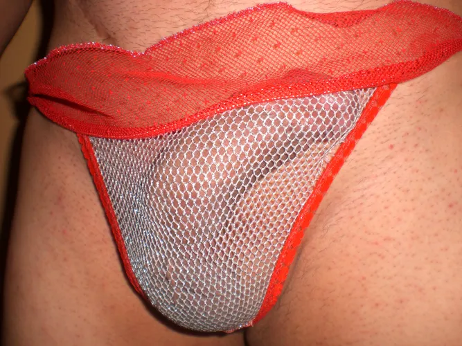 panties de res transparente by carloxx66