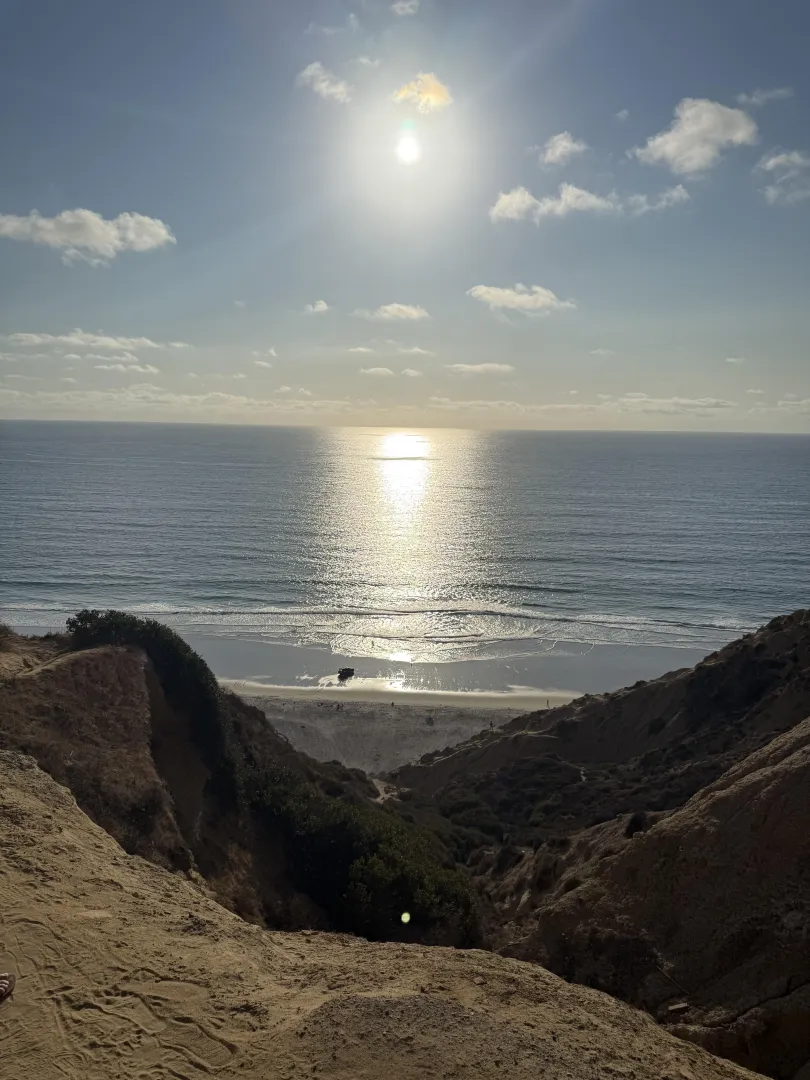 Paradise ️ posted by CollectionMajor6174