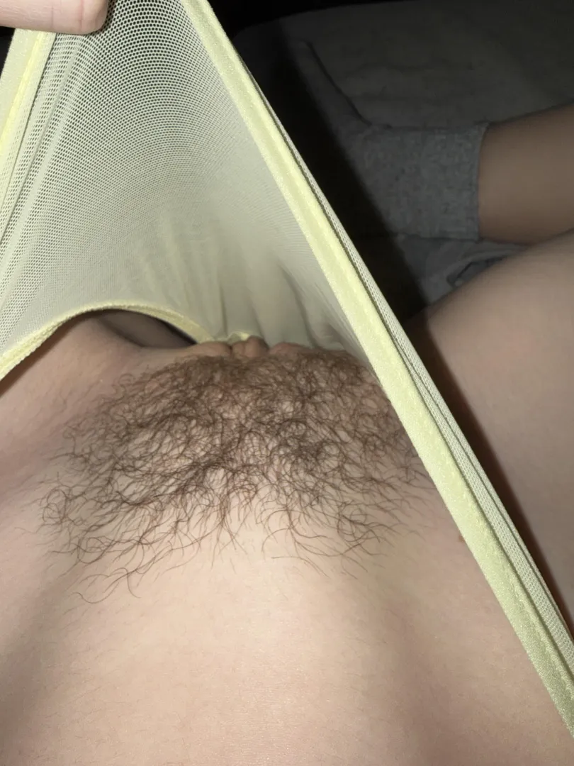 peakaboo bush posted by LexiMoran