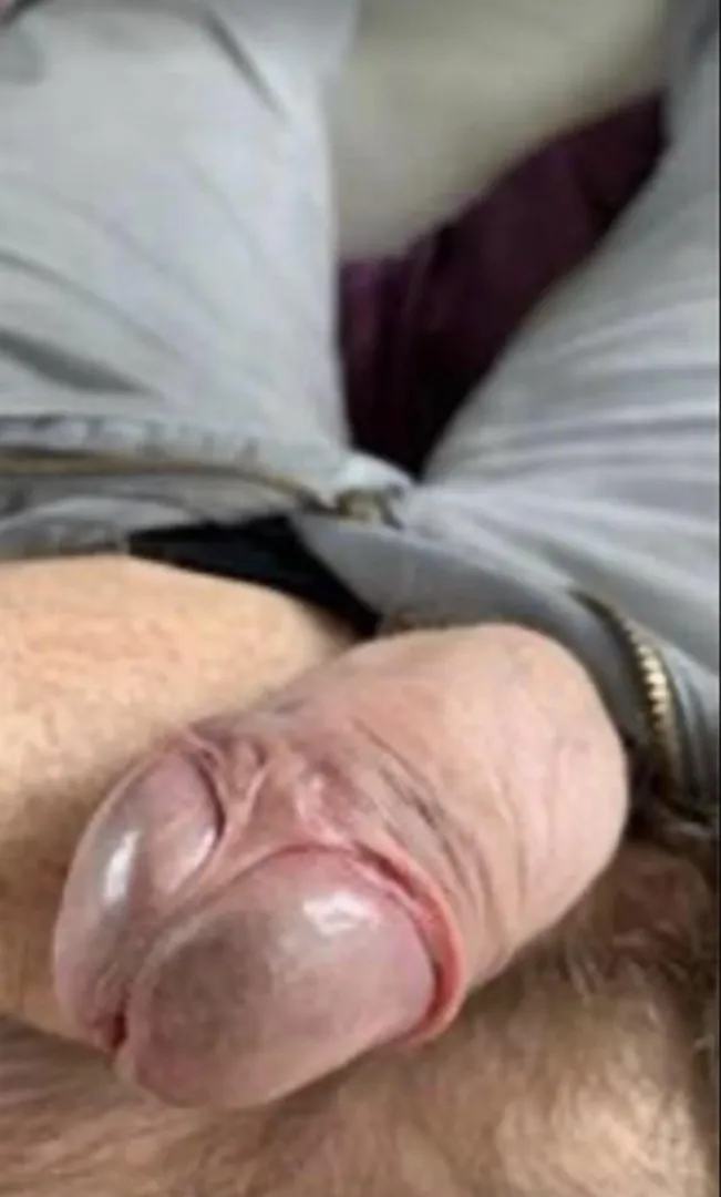 Peek a Boo posted by AlarmingChicken5476