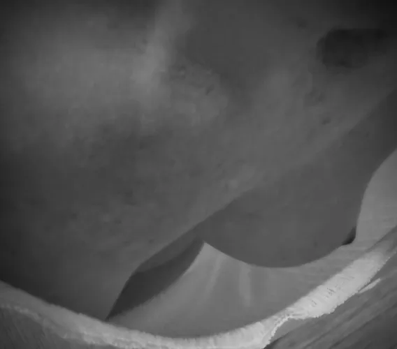 Peek. by SpicyTulips69