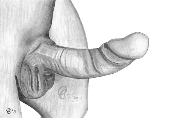 Penis #3 erect cock with open foreskin, drawn by me by idffipff