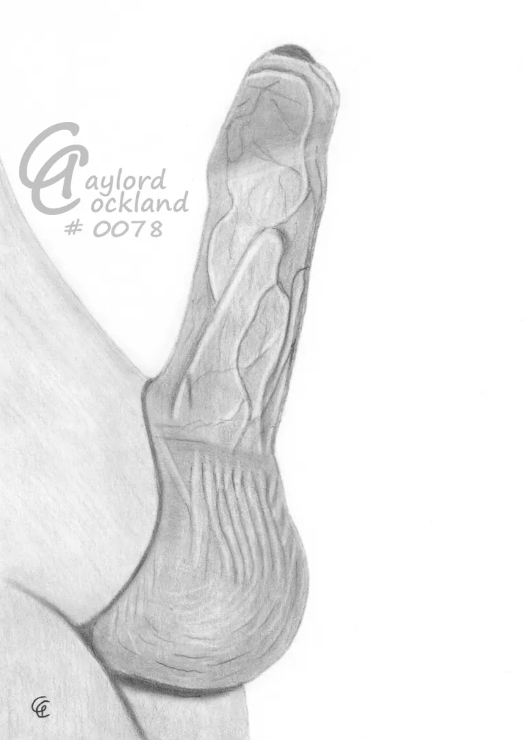 Penis #78 erect penis closed foreskin, drawn by me posted by idffipff