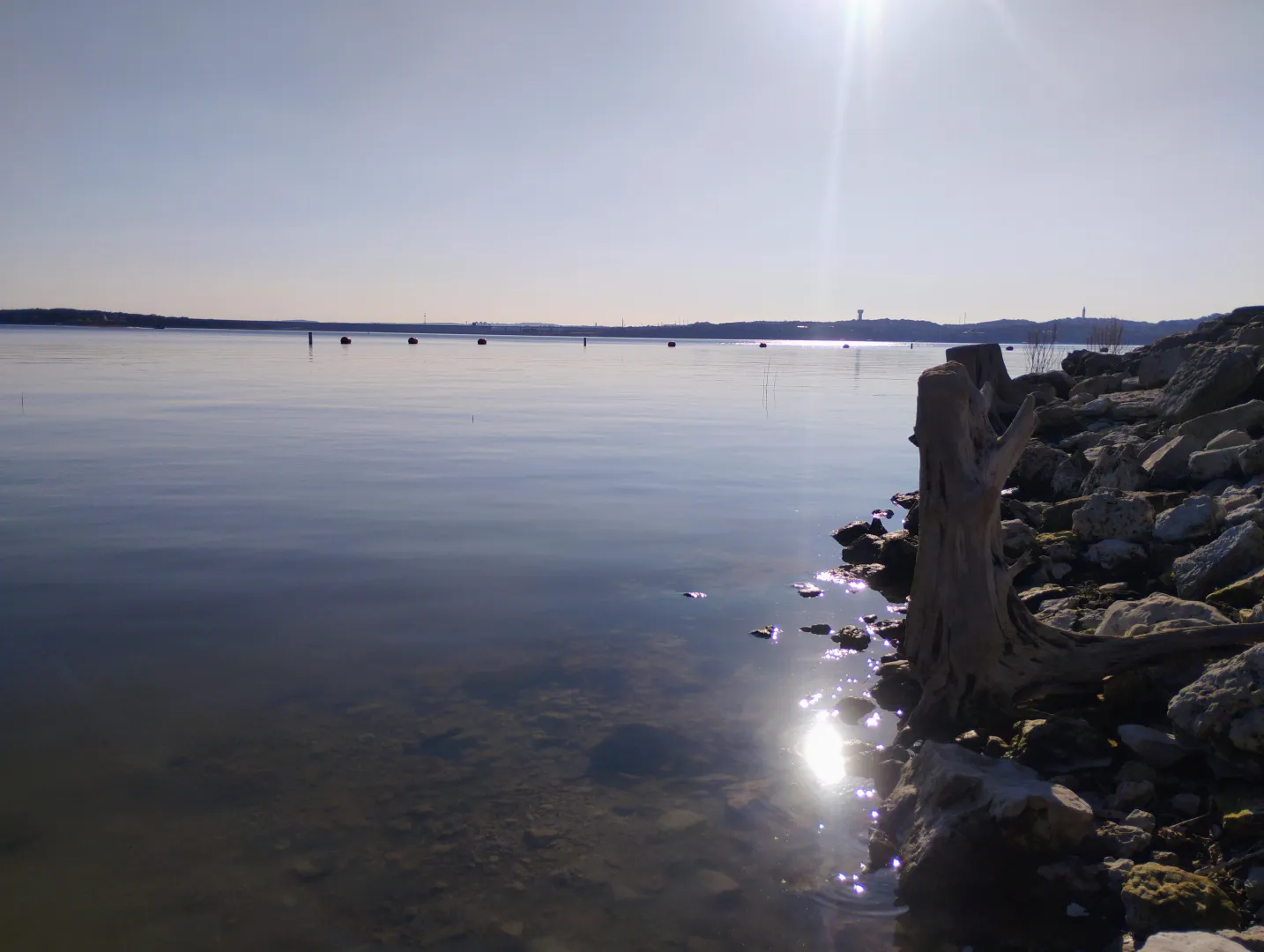 Perfect afternoon posted by Outrageous-Care-2809