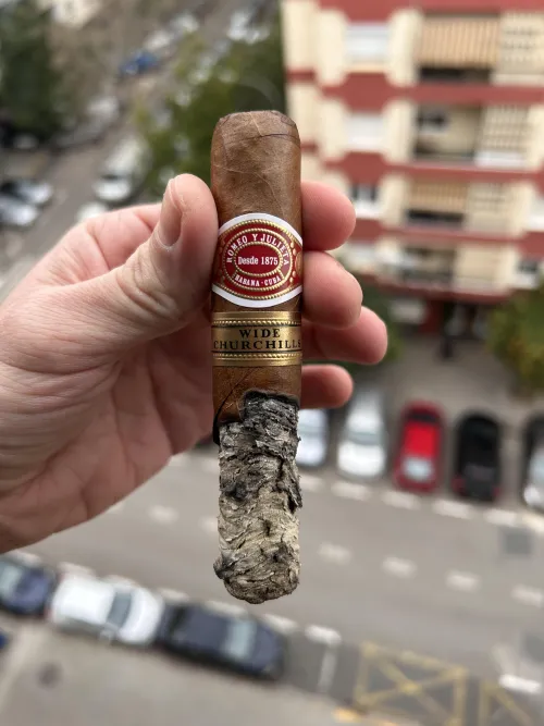 Perfect day for a Churchill  by HitMeWizThat