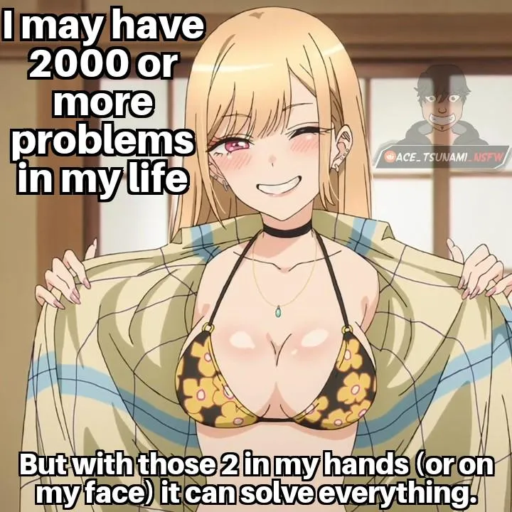 Perfect solution posted by Ace_Tsunami_NSFW