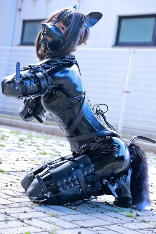 Perfect suit for your life long buddy. by [deleted]