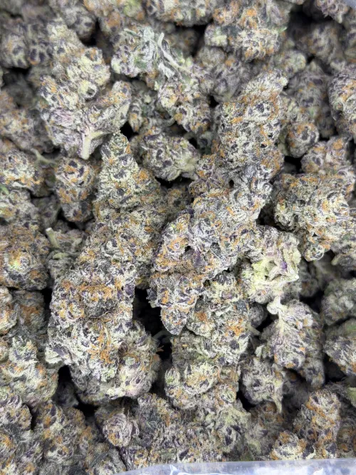 Permanent chimera by LadyGanja-