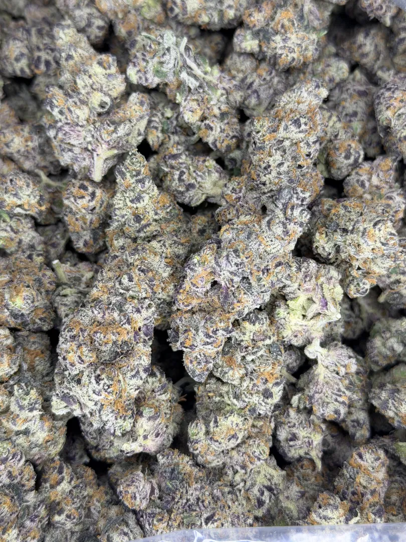 Permanent chimera posted by LadyGanja-