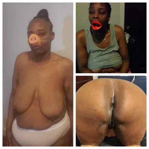 Personl piggy Luciana Karins by bbwluvr16