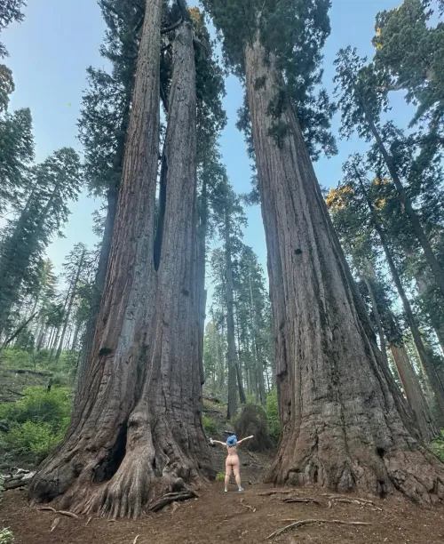 Perspective by MrsDarling55