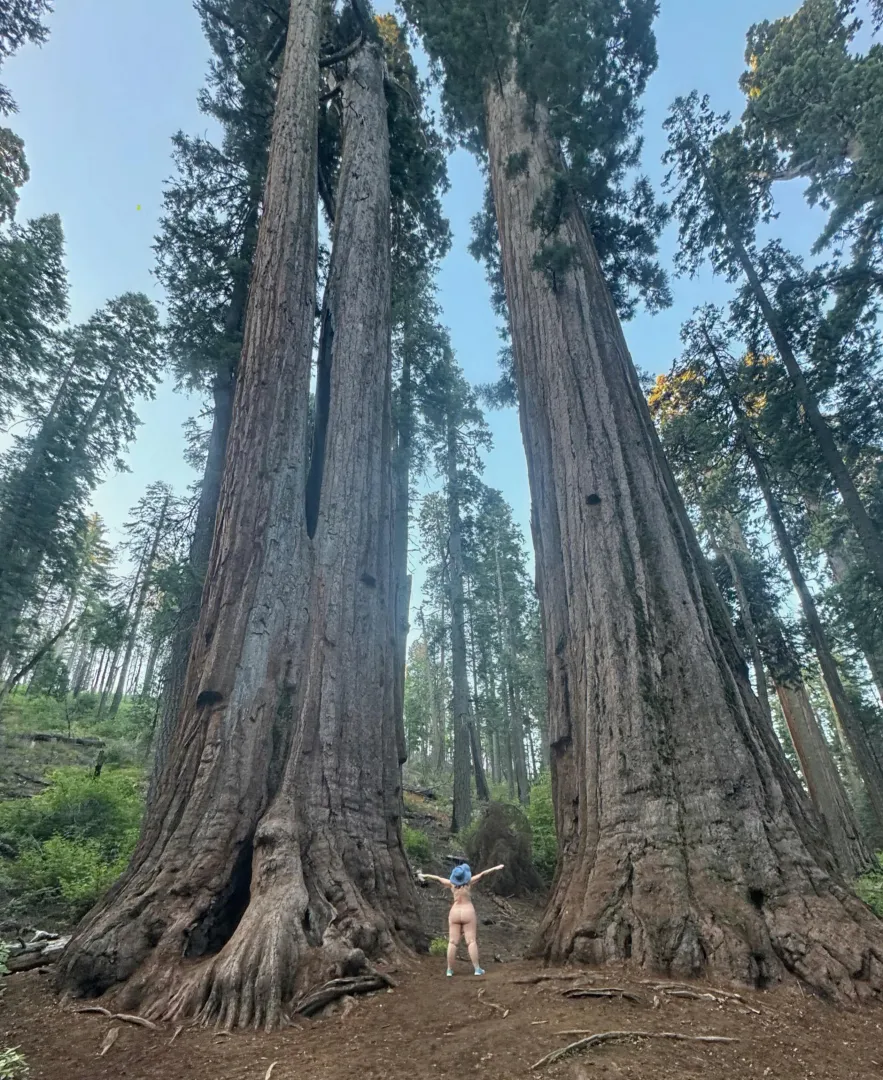 Perspective posted by MrsDarling55