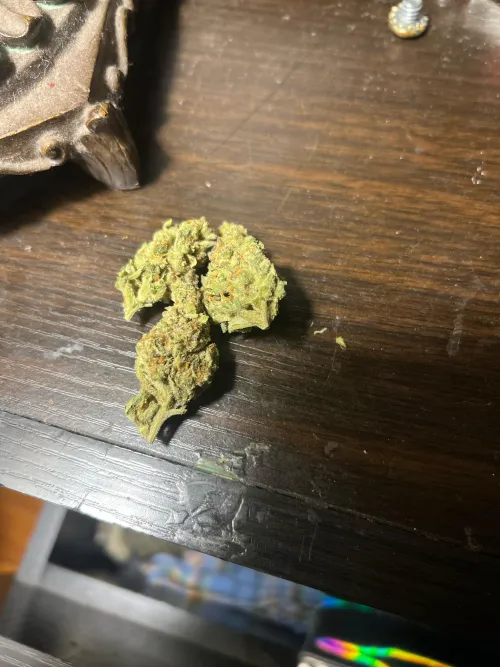 PHC Coconut Creme Budget 2 zips by Fun_Firefighter193