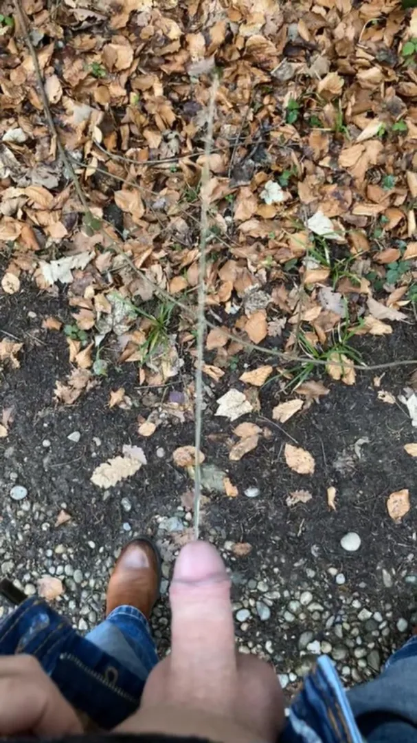 Pissing in the Forest posted by Ludrouge641