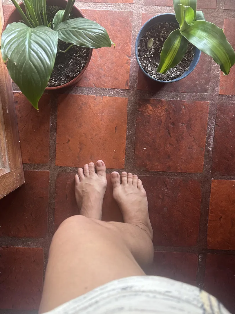 plants and toes. morning posted by ElectricalLeg8817