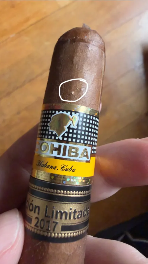 Please tell me this isn’t a beetle by Lhamorai