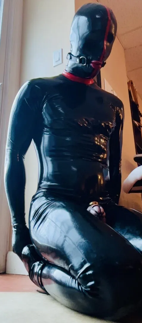 Plugged, caged, gagged. Unable to speak, see or hear. Just waiting for Mistress’ touch posted by OcelotPrincess21