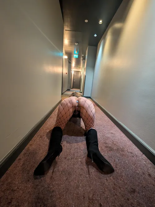 Plugged out in the wild by Ill-Wasabi-4894