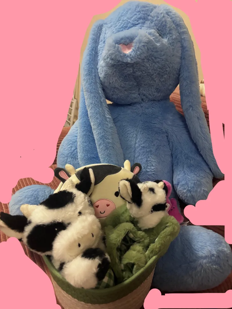 plushie haul  posted by babiemoomoo