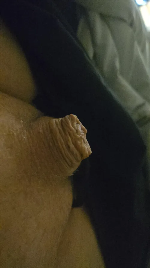 Pocket rocket by ContentCranberry1272