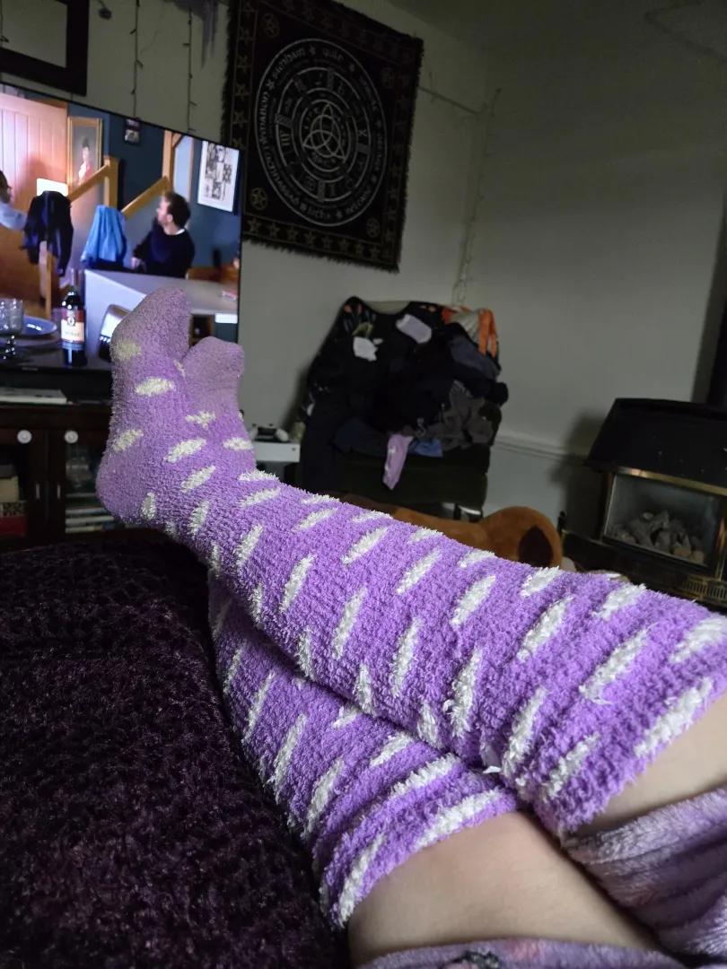 Polka fuzzies chilling hard  wanna sniff? Earn it first  posted by cheekyxlass